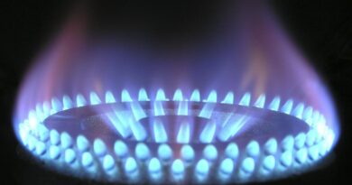 Vale Gas - Consultez maintenant en ligne